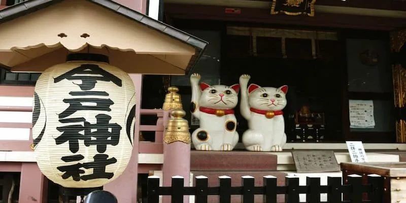 Neko May Mắn là gì? Mẹo chơi cho người mới 2 Các chức năng trong game Neko May Mắn