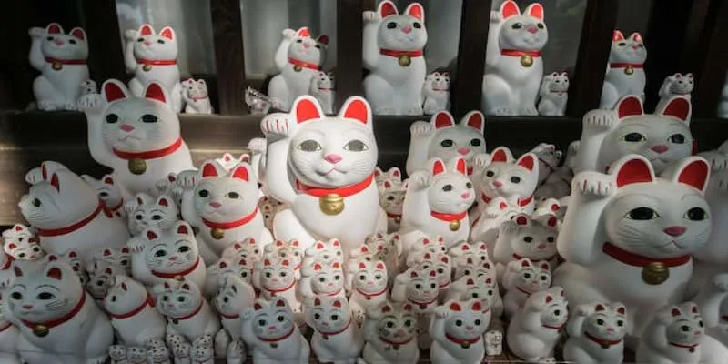 Neko May Mắn là gì? Mẹo chơi cho người mới 3 Một số điều cần biết khác khi tham gia chơi game Neko May Mắn tại Hi88